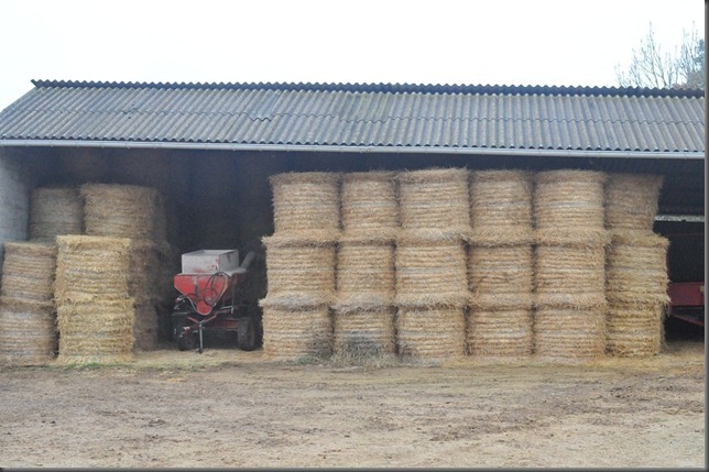farm hay