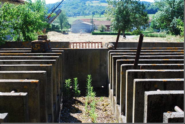 Lucienne's House 067