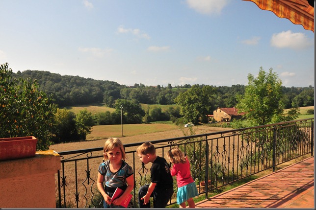 chateau-ish house 056