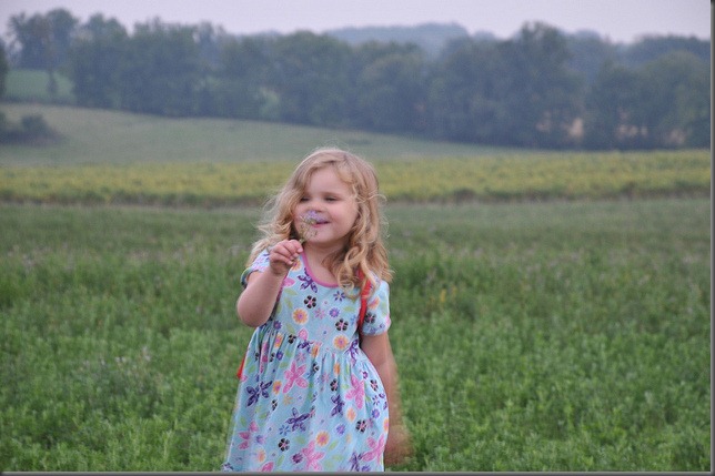 5089432018_74b7c6755c_z[1]