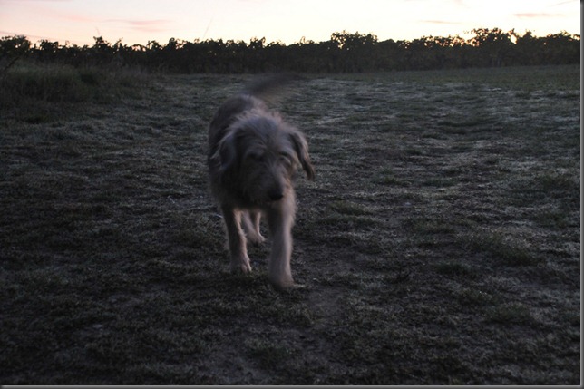 5102495311_56fbb6e43a_b[1]