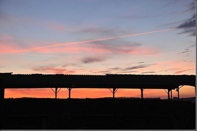 5102497889_f25a931b1a_z[1]