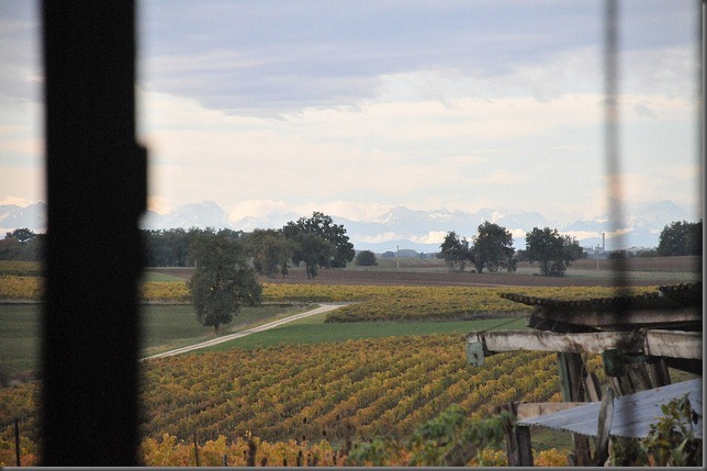 5128983789_88e2a3e92b_z[1]