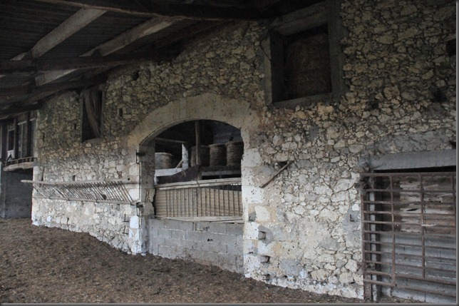 5128985893_916a760b95_b[1]