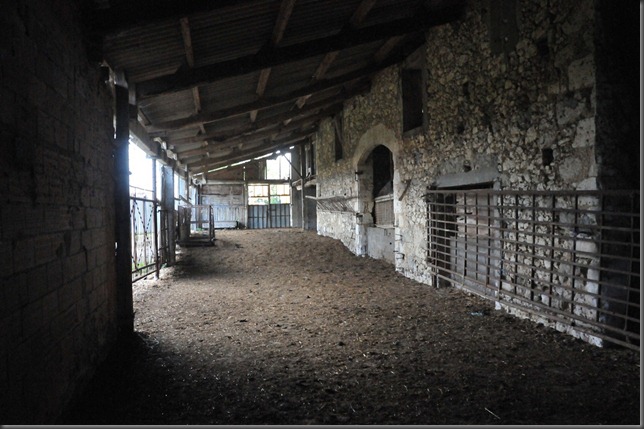 5128988001_e2a96fd643_b[1]