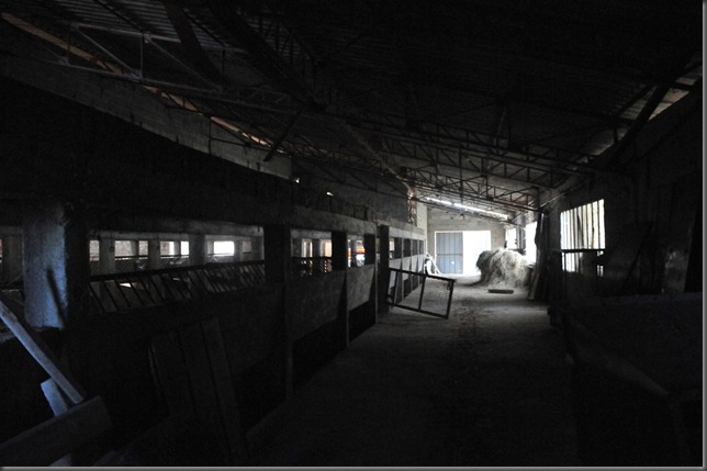 5128990785_e4bcf12c0f_b[1]