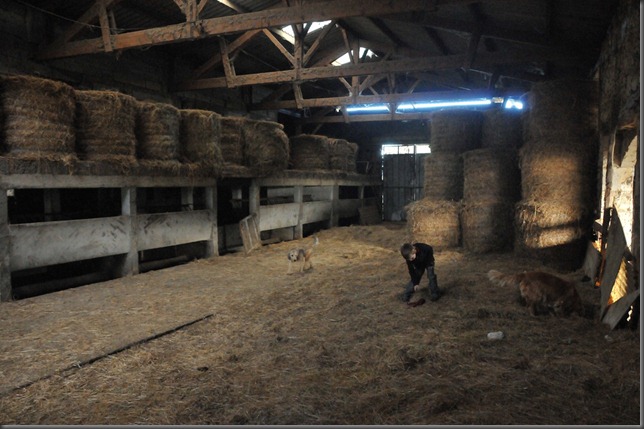 5129594372_0f9713cc73_b[1]