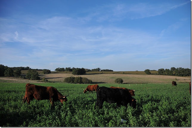 15022701683_36222423cd_z