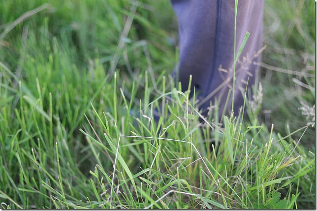 17599396770_5589f14d57_z