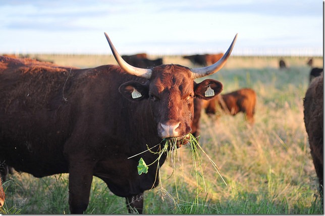 17789045125_9326c16687_z