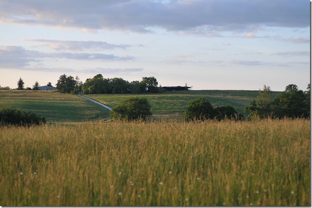 17789620831_74f3674b36_z